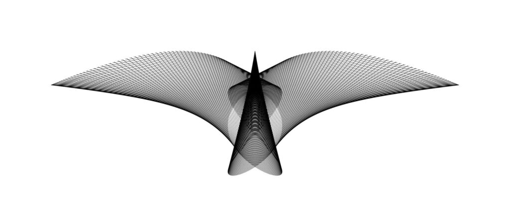 A Bird in Flight