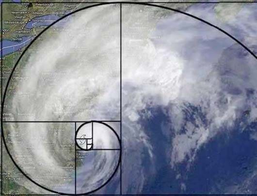 fib 6