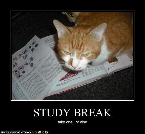 Study Hacks Take Study Breaks