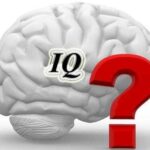 IQ ve ZEKA Bölümü 2 iq testsd