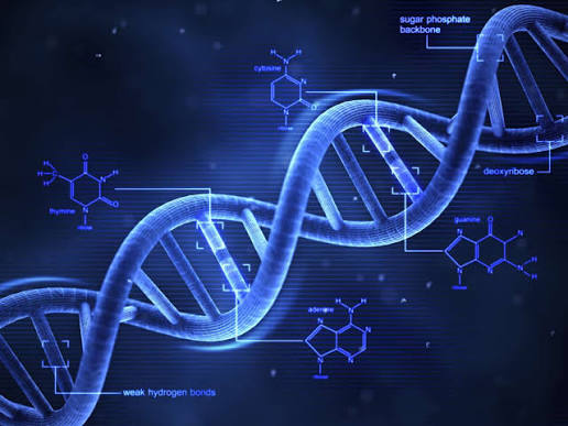Düğüm Teorisi Nedir DNA